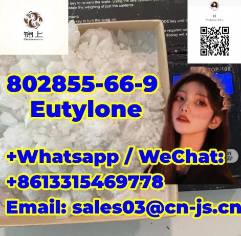 cheap  Eutylone 802855-66-9 