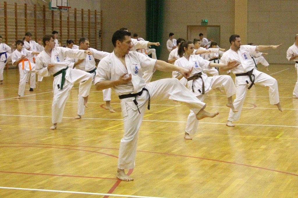 Szkolenie karate